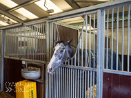 AK181121-119 - Grumpy Sarsen